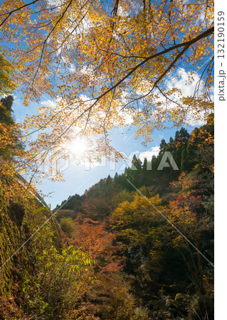 神角寺渓谷の紅葉（大分県豊後大野市） 132190159