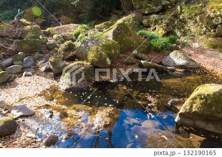 神角寺渓谷の紅葉（大分県豊後大野市） 132190165