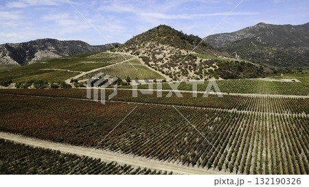 Aerial view of autumnal vineyard in mountain valley Aerial view of autumnal vineyard in mountain valley 132190326