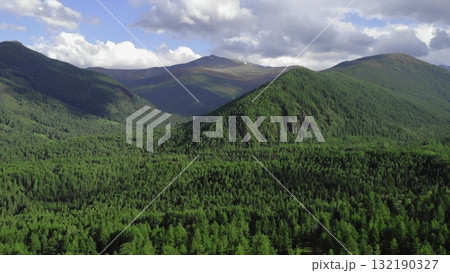 Lush green forest blanketing rolling hills under a cloudy sky. Media 132190327