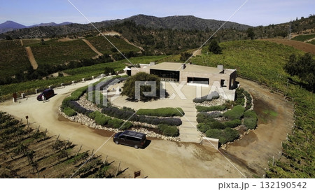 Aerial view of modern winery and vineyard landscape 132190542