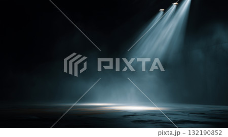 ダークステージとスポットライト ダークステージとスポットライト 132190852