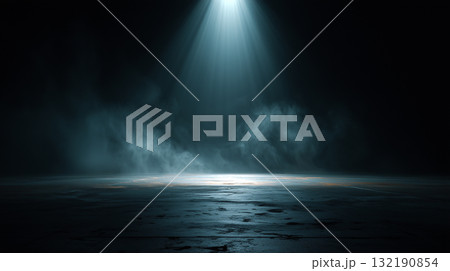 ダークステージとスポットライト ダークステージとスポットライト 132190854