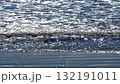 キラキラ輝く海面 132191011