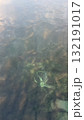 海の底の世界 132191017