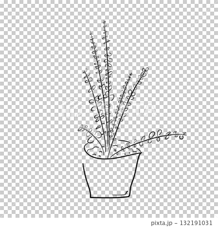 盆栽桉樹的線條畫插圖 132191031