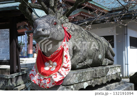 菅原道真公を祀る北野天満宮（京都市上京区）：奉納されている撫で牛の内の一体 132191094