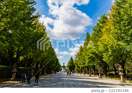 東京都　秋の靖国神社 　参道 132191184