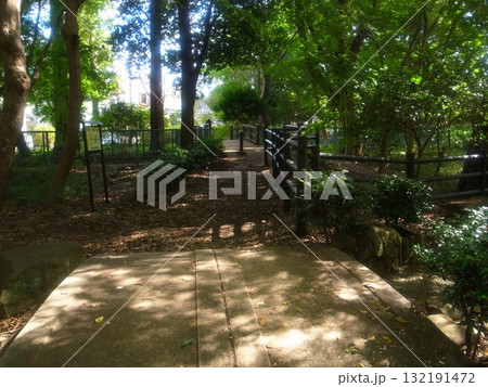 浴恩館公園 132191472