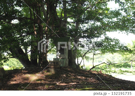 将軍塚古墳 132191735