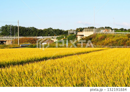関越自動車道高崎玉村スマートIC 132191884
