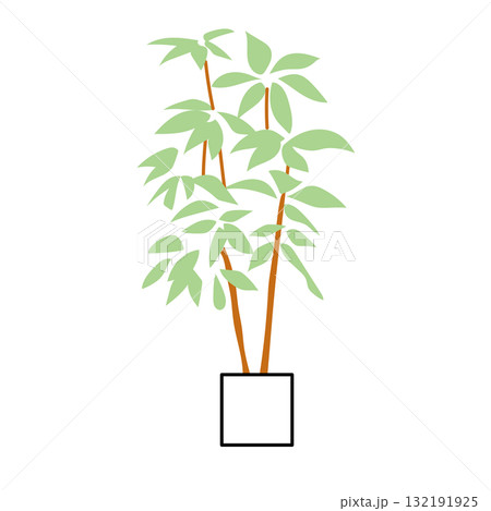 イラスト素材: パキラの鉢植え観葉植物イラスト イラスト素材: パキラの鉢植え観葉植物イラスト 132191925