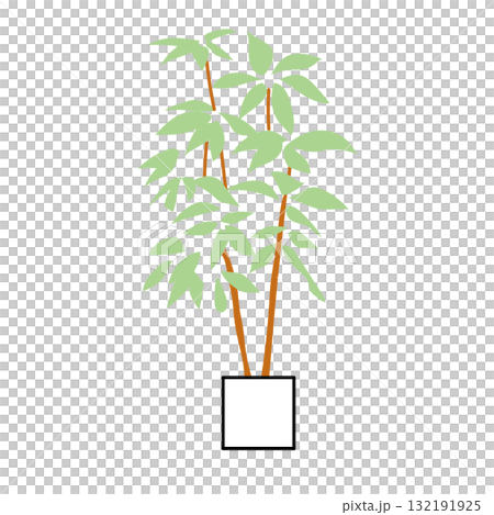 圖庫插圖: 發財樹盆栽室內植物插圖 132191925