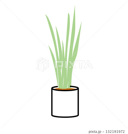 イラスト素材: サンスベリアの鉢植え観葉植物イラスト イラスト素材: サンスベリアの鉢植え観葉植物イラスト 132191972