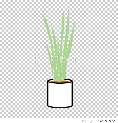 イラスト素材: サンスベリアの鉢植え観葉植物イラスト イラスト素材: サンスベリアの鉢植え観葉植物イラスト 132191972