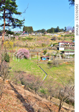 花桃の里 早春の里山 斜面に建つ民家 東秩父村 花桃の里 早春の里山 斜面に建つ民家 東秩父村 132192062