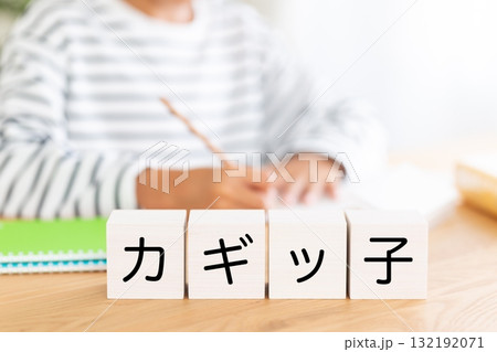 カギッ子のブロックと勉強をする小学生の男の子 132192071