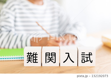 難関入試のブロックと勉強をする小学生の男の子 132192073