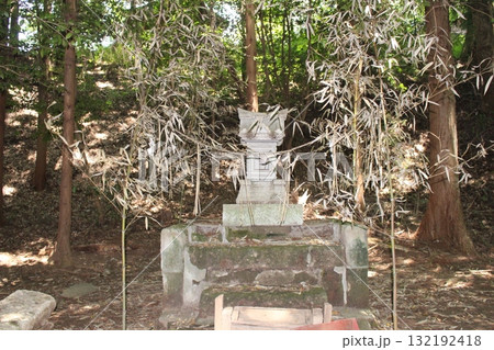 蜘蛛の織姫 蜘蛛の織姫 132192418