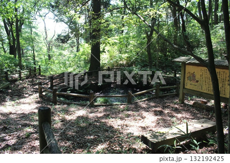 蜘蛛の織姫 蜘蛛の織姫 132192425