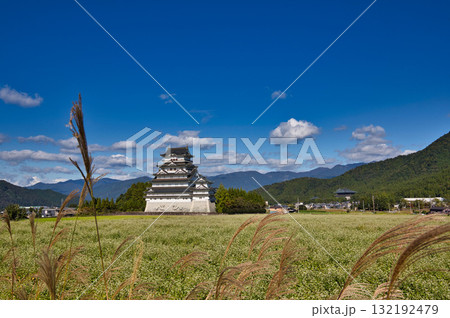 秋の青空に映える勝山城 秋の青空に映える勝山城 132192479