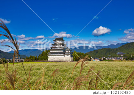 秋の青空に映える勝山城 132192480