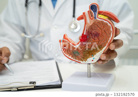 Stomach disease, doctor holding anatomy model for study diagnosis and treatment in hospital. 132192570
