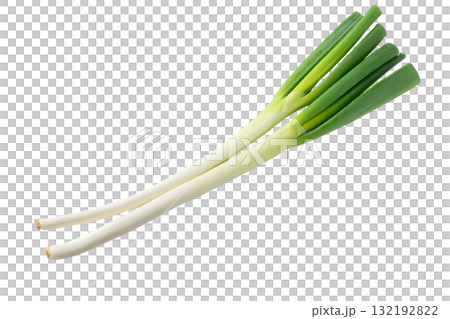 透明背景(png)上的兩根長蔥(白洋蔥) 透明背景(png)上的兩根長蔥(白洋蔥) 132192822