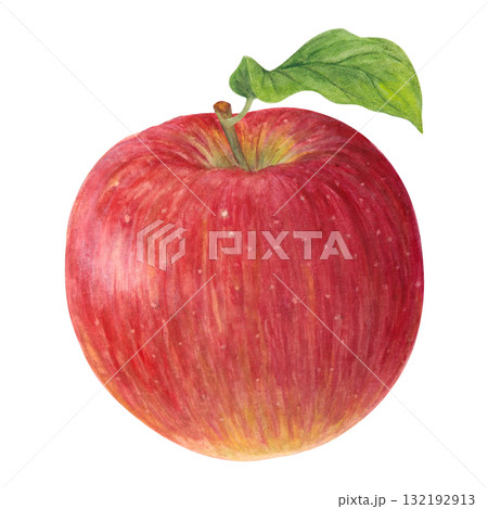 水彩で描いたりんご 132192913