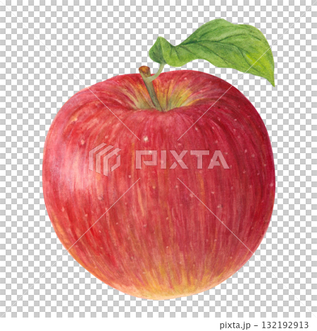 水彩で描いたりんご 132192913