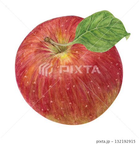 水彩で描いたりんごのラスターイラスト 水彩で描いたりんごのラスターイラスト 132192915