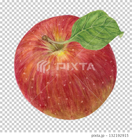 水彩で描いたりんごのラスターイラスト 水彩で描いたりんごのラスターイラスト 132192915