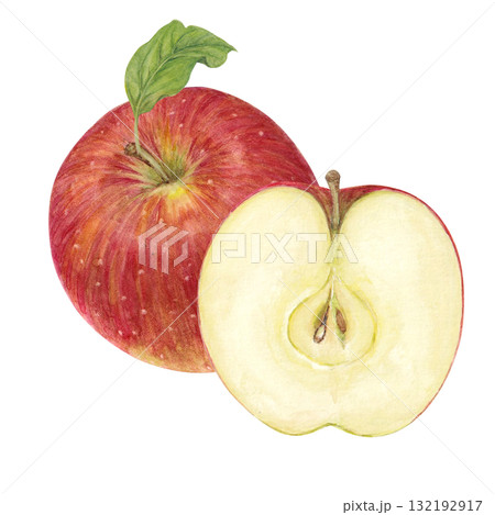 水彩で描いたカットされたりんごのイラスト 132192917