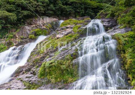 優雅な流れ　日本の滝百選大川の滝　屋久島国立公園(夏 132192924