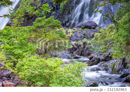轟音清涼 大川と大川の滝 屋久島国立公園(夏) 轟音清涼 大川と大川の滝 屋久島国立公園(夏) 132192963