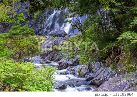轟音清涼　大川と大川の滝　屋久島国立公園(夏) 132192964