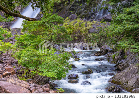 轟音清涼 大川と大川の滝 屋久島国立公園(夏) 轟音清涼 大川と大川の滝 屋久島国立公園(夏) 132192969
