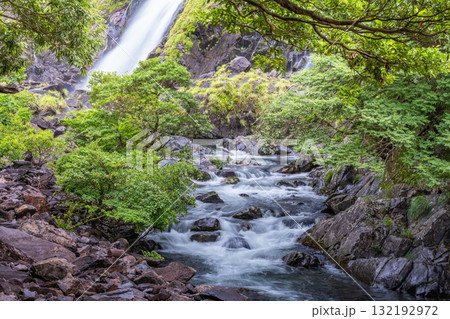 轟音清涼　大川と大川の滝　屋久島国立公園(夏) 132192972