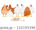 白と茶色のニワトリのグループとかごに入れた卵 白と茶色のニワトリのグループとかごに入れた卵 132193396