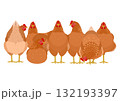 茶色のニワトリのグループ 茶色のニワトリのグループ 132193397