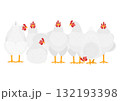白いニワトリのグループ 白いニワトリのグループ 132193398