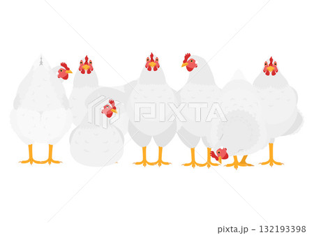 白いニワトリのグループ 白いニワトリのグループ 132193398