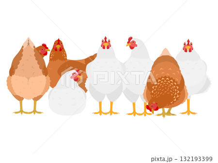 白と茶色のニワトリのグループ 132193399