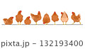 一列に並んだいろいろなポーズの茶色いニワトリのセット 132193400