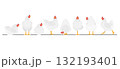 一列に並んだいろいろなポーズの白いニワトリのセット 132193401