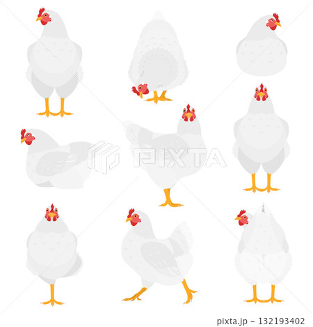 いろいろなポーズの白いニワトリのセット いろいろなポーズの白いニワトリのセット 132193402