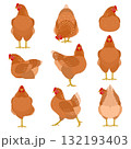 いろいろなポーズの茶色いニワトリのセット いろいろなポーズの茶色いニワトリのセット 132193403