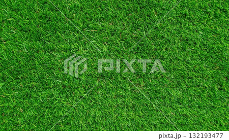 《AI画像》青々とした芝生 132193477