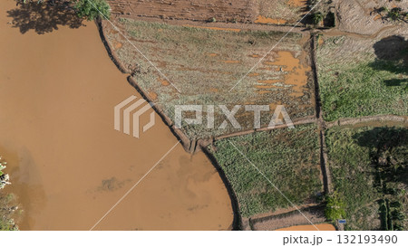 Aerial view of corn field damaged from flooded river. Aerial view of corn field damaged from flooded river. 132193490