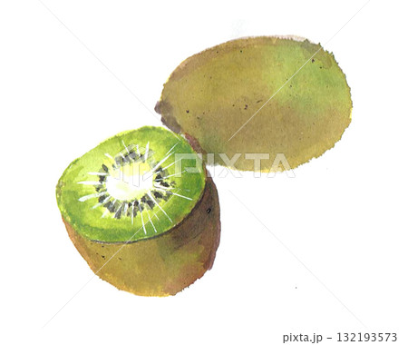 キウイ・水彩(KIWI・手書き)01 キウイ・水彩(KIWI・手書き)01 132193573